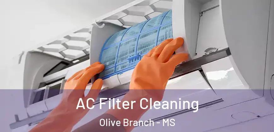 AC Filter Cleaning Olive Branch - MS