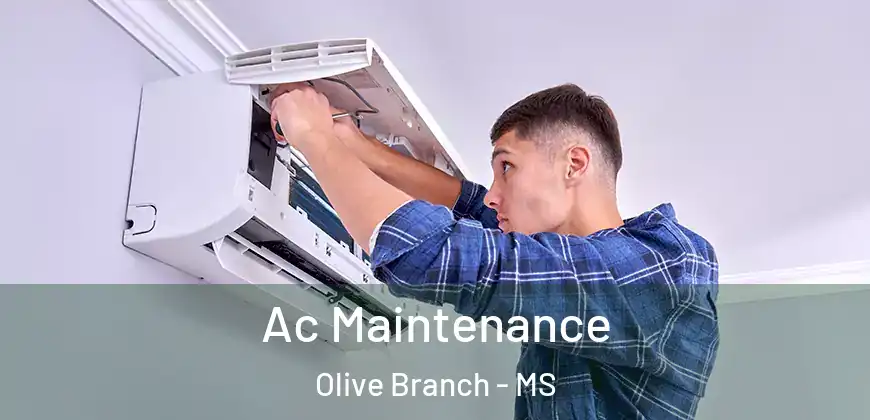 Ac Maintenance Olive Branch - MS