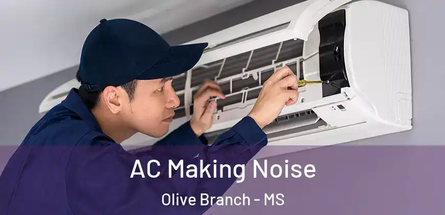 AC Making Noise Olive Branch - MS