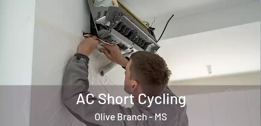 AC Short Cycling Olive Branch - MS