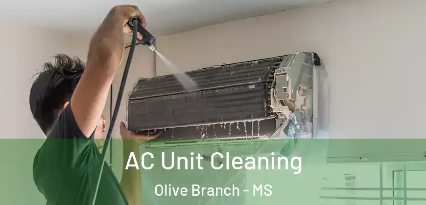 AC Unit Cleaning Olive Branch - MS