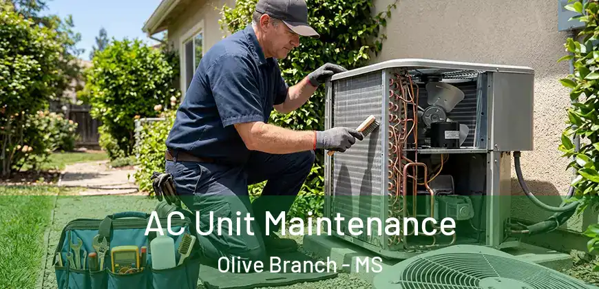 AC Unit Maintenance Olive Branch - MS