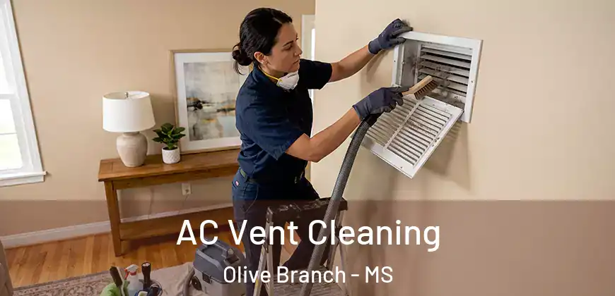 AC Vent Cleaning Olive Branch - MS