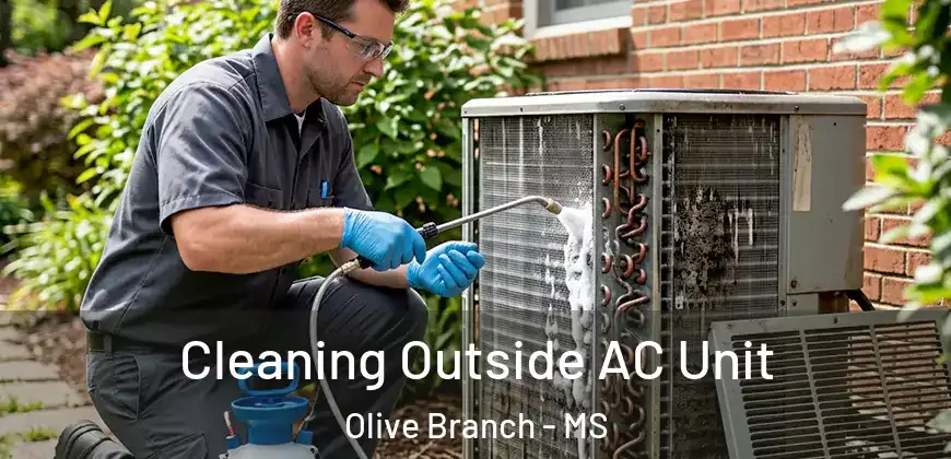  Cleaning Outside AC Unit Olive Branch - MS