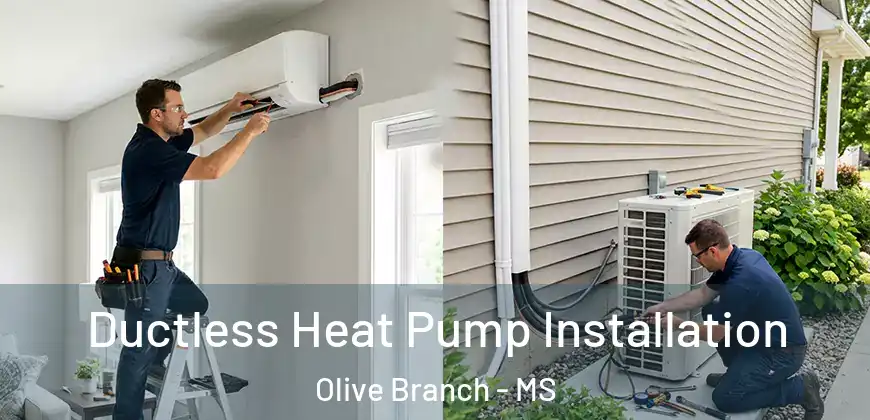  Ductless Heat Pump Installation Olive Branch - MS