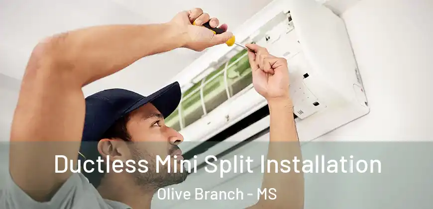  Ductless Mini Split Installation Olive Branch - MS