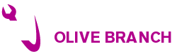 AC Repair Olive Branch