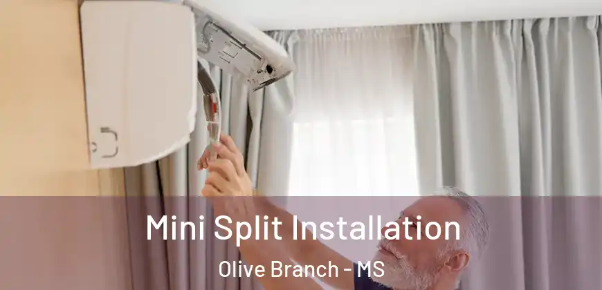 Mini Split Installation Olive Branch - MS